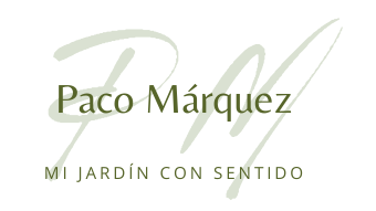 Paco Márquez 